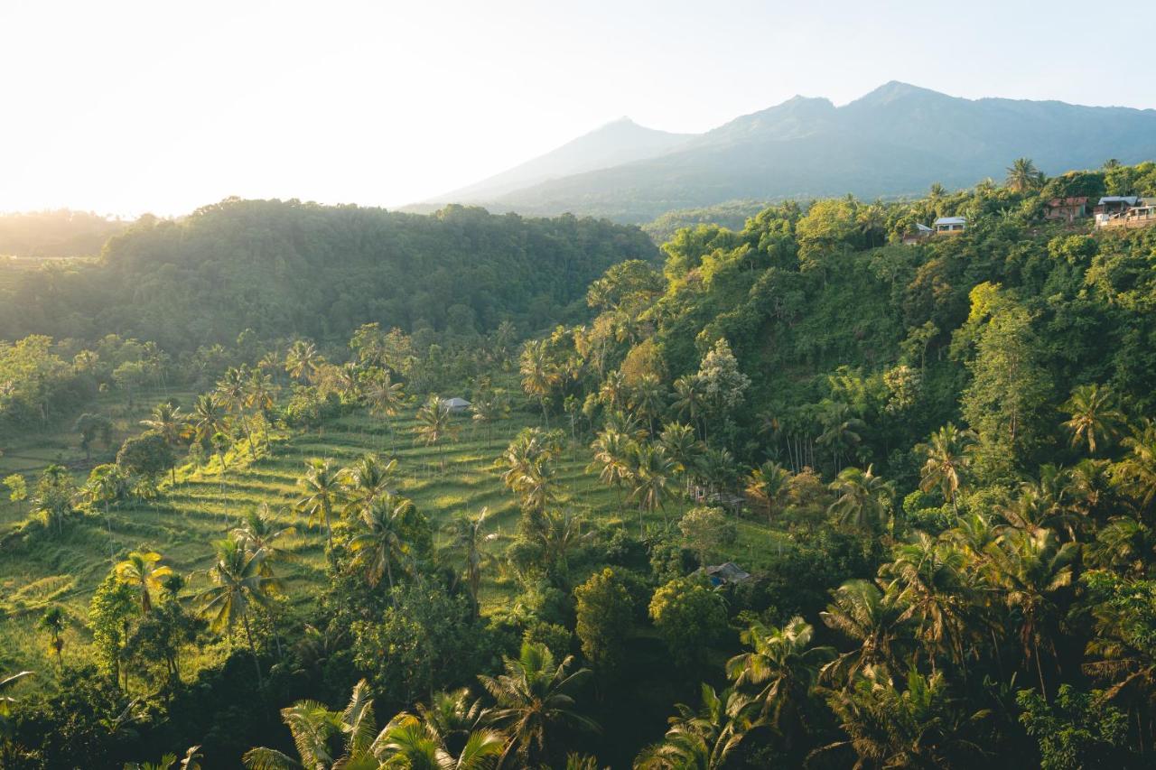 Green Rinjani Bayan Eksteriør billede